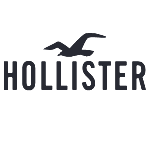Hollister Co. logo